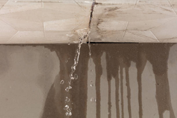 Professional Water Damage Repair technician working in West Grove, PA